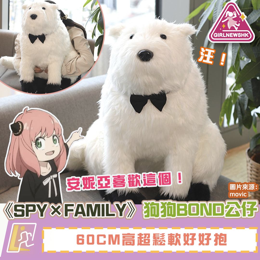 安妮亞喜歡這個!《SPY×FAMILY》狗狗BOND公仔